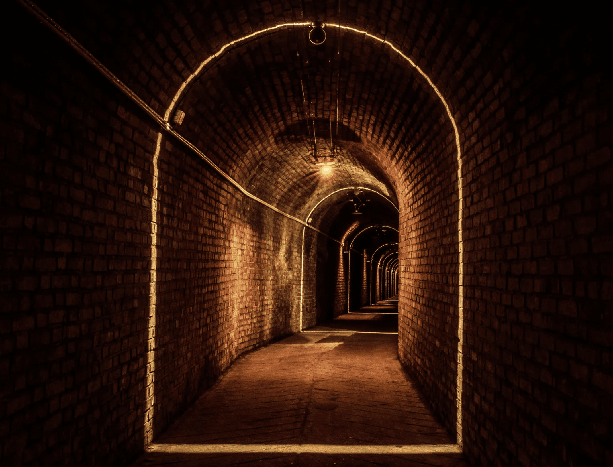 Champagne Ayala - Tête Chercheuse