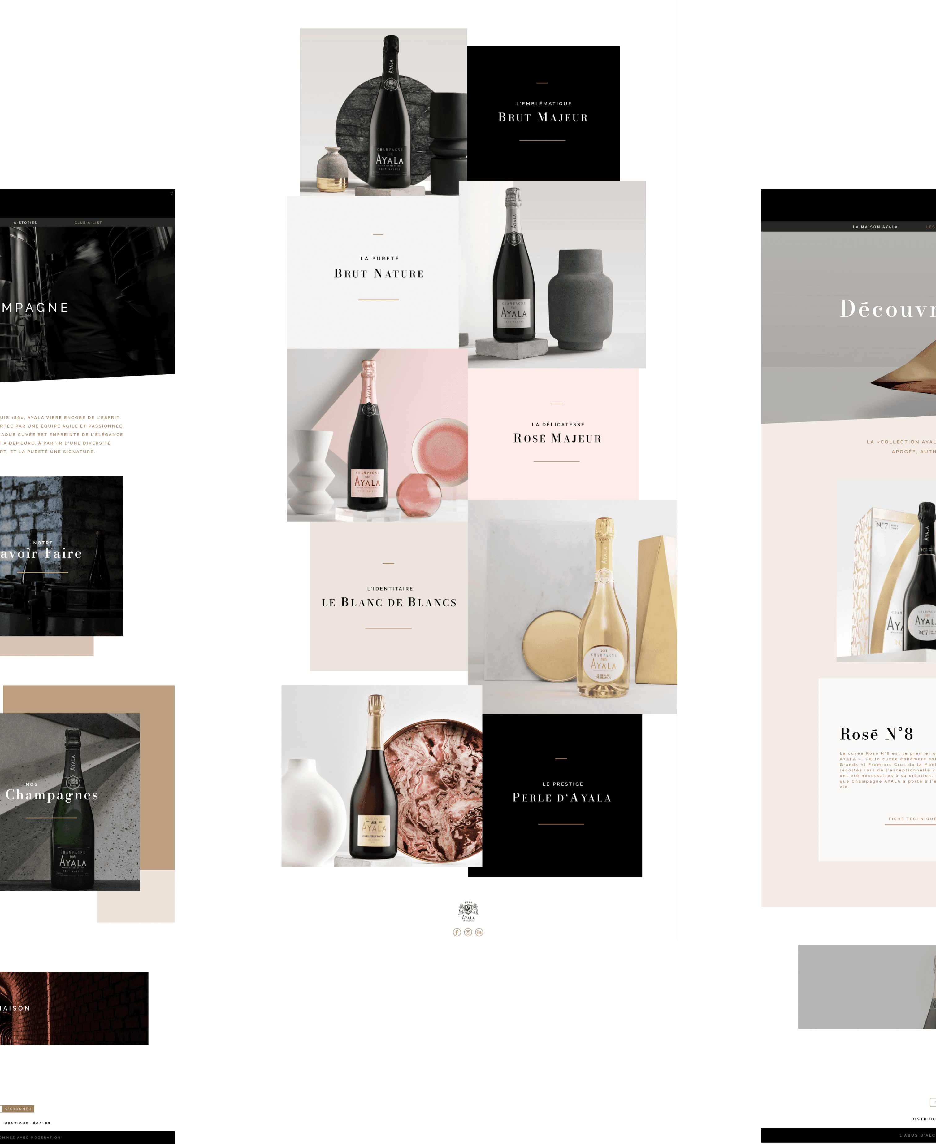 Champagne Ayala - Tête Chercheuse