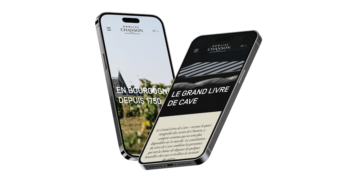 Domaine Chanson - Tête Chercheuse