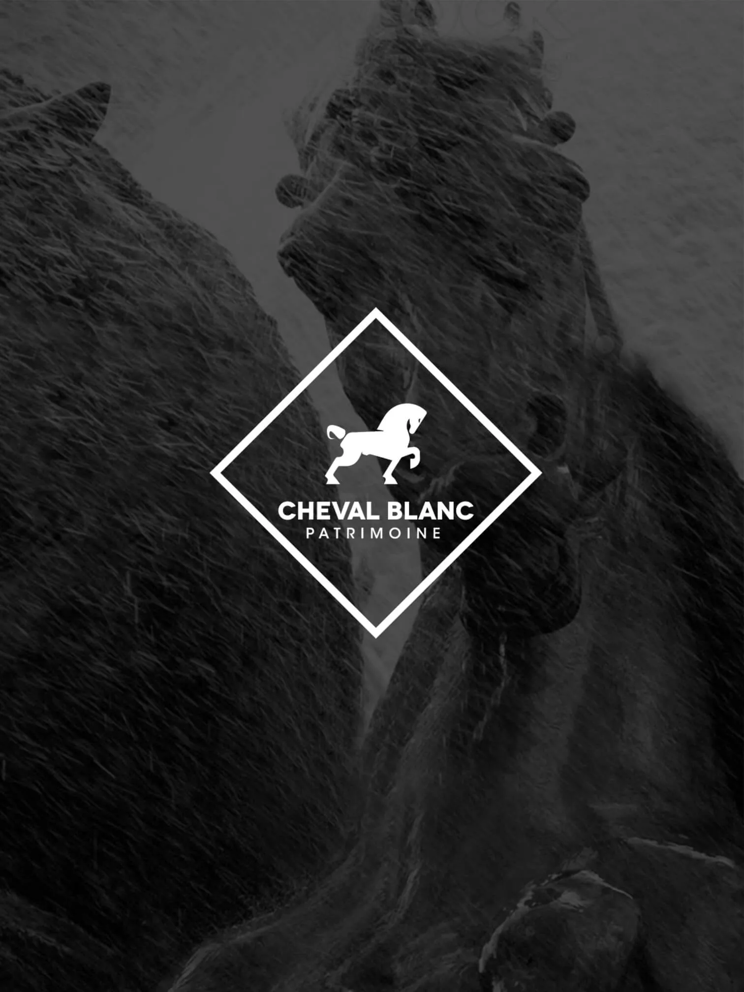 Cheval Blanc Patrimoine - Tête Chercheuse